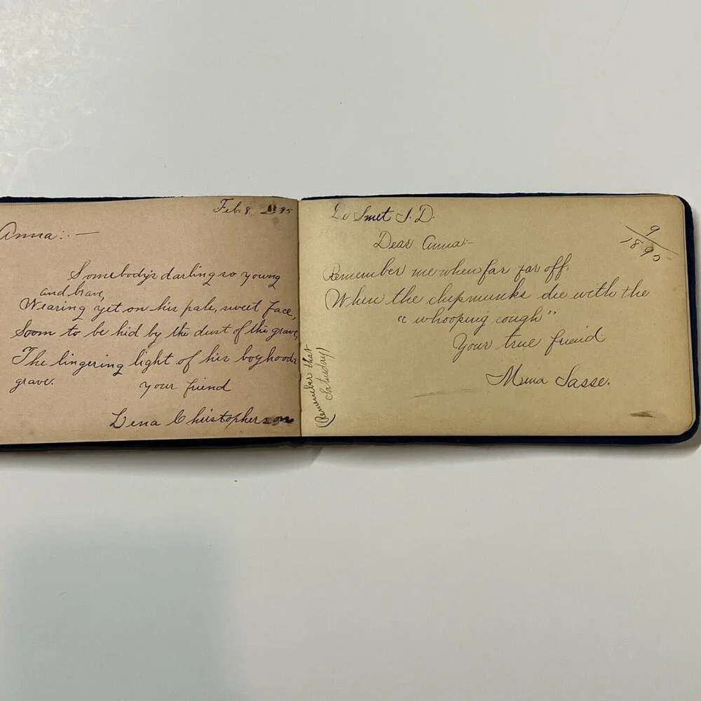 1880s Antique AUTOGRAPH ALBUM Blue Velvet Cover Anna J. Nelson Blooming Prairie